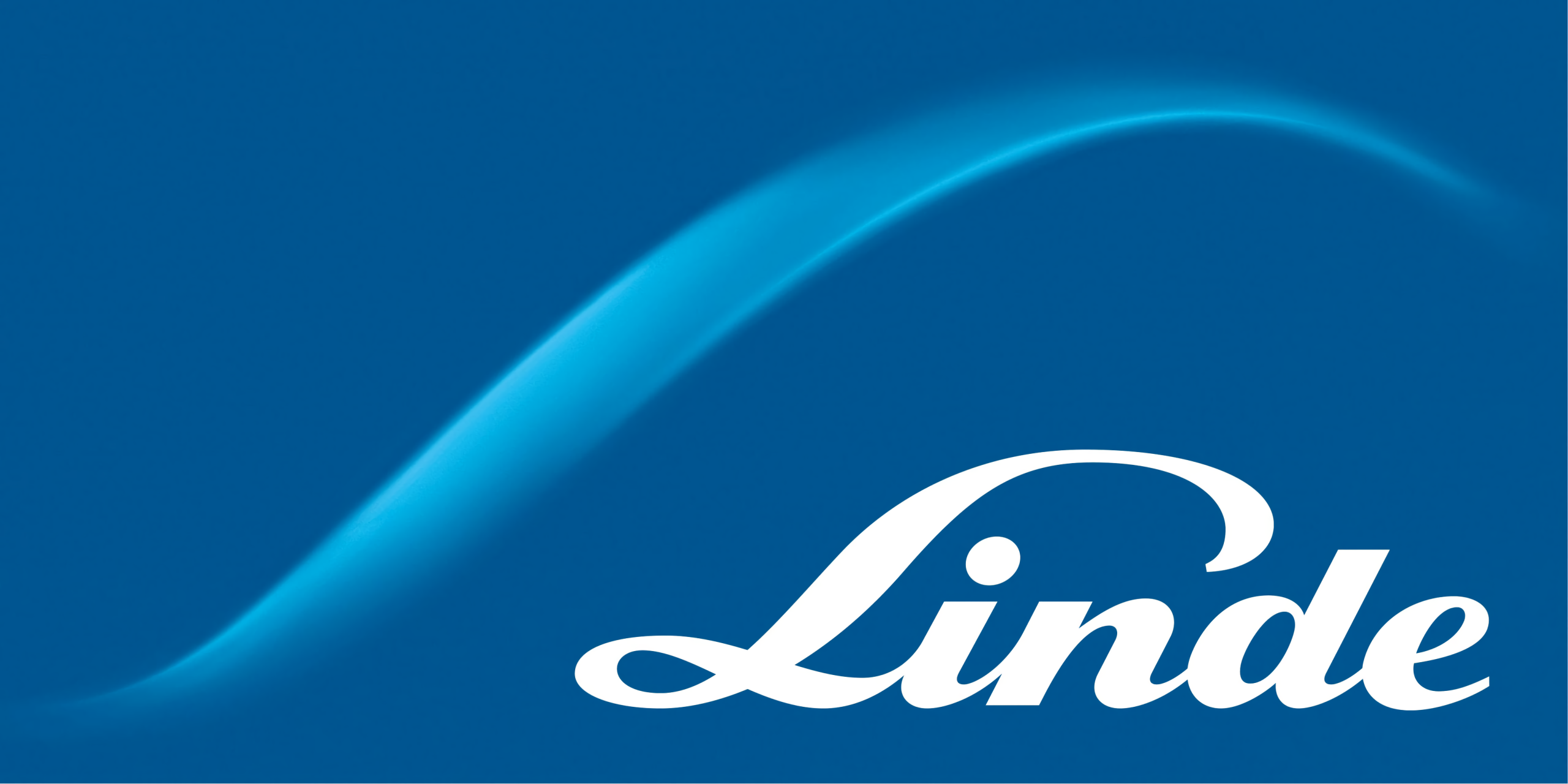 Linde plc – ERP-Beratung
